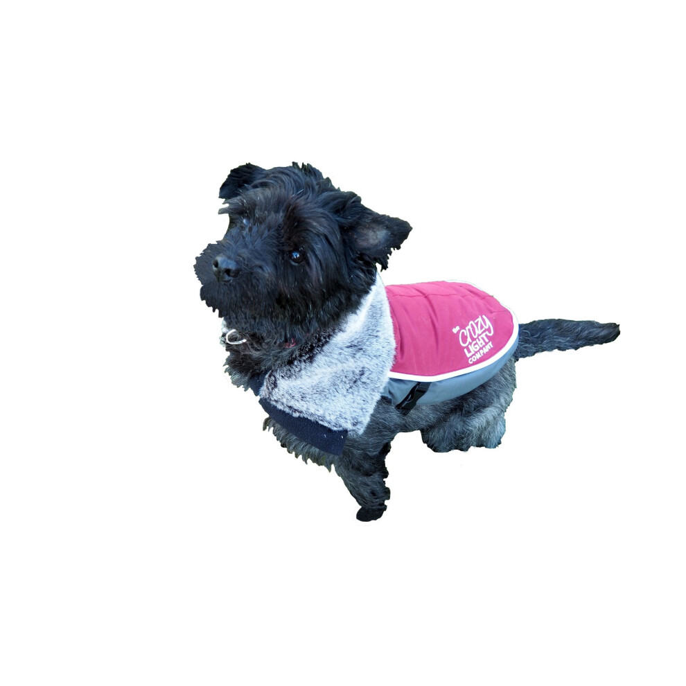 Rosewood Luxury Night Bright LED Dog Jacket (Assorted Colours) - ASRTD