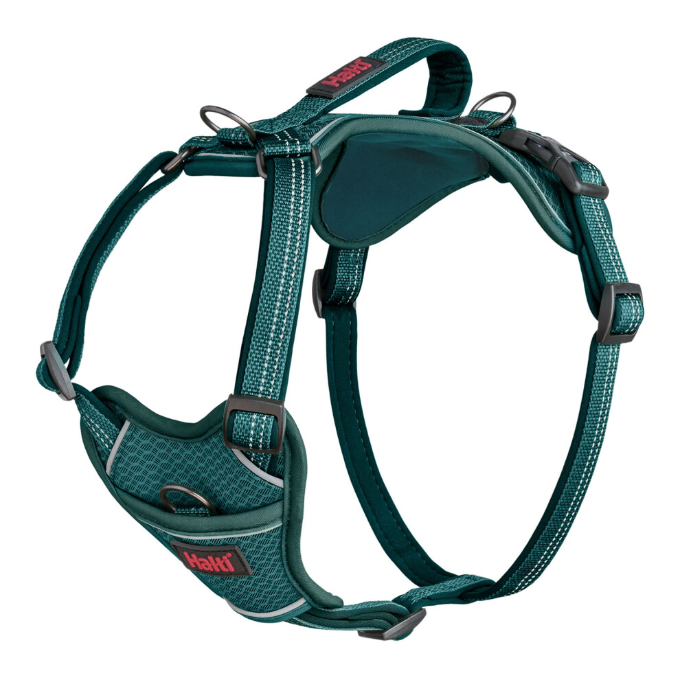 (M, Teal) Halti Anatomy Dog Harness