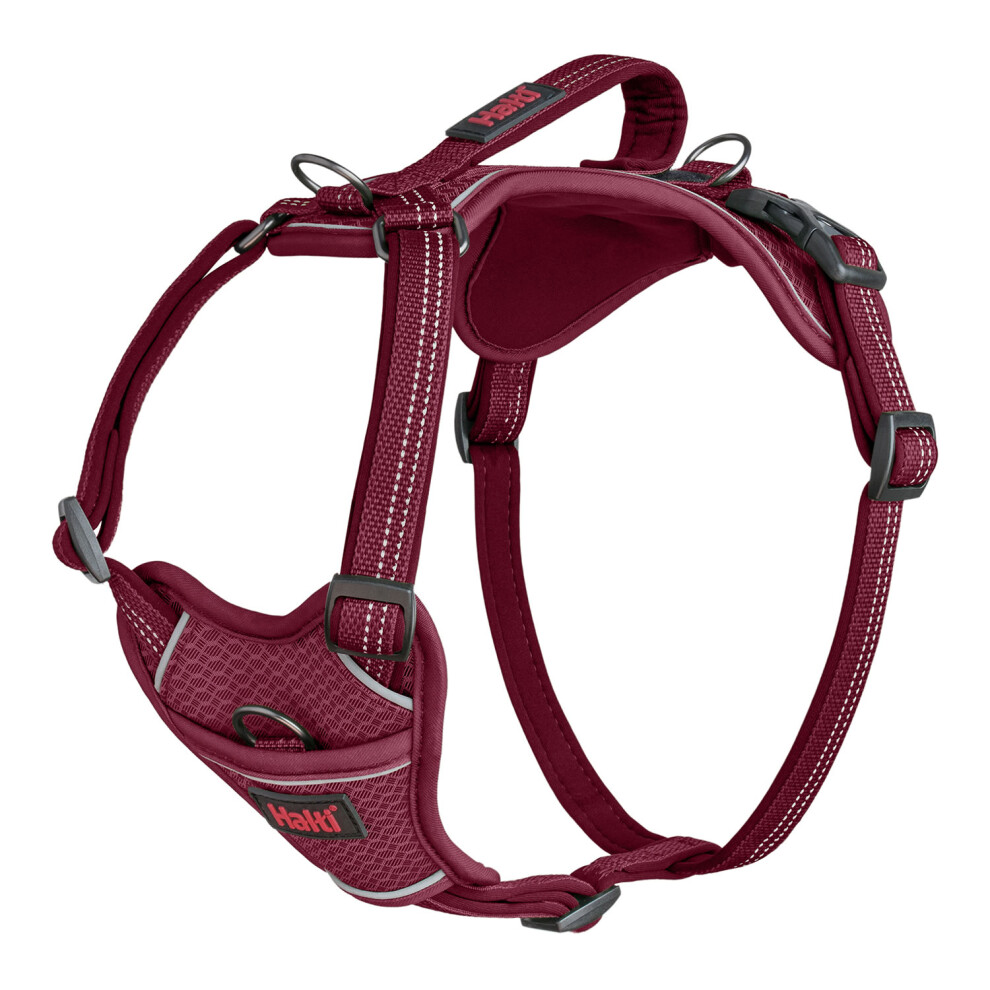 (S, Magenta) Halti Anatomy Dog Harness