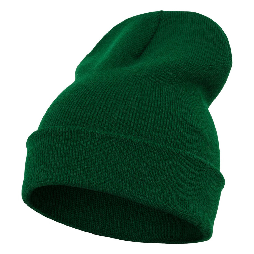 (One Size, Spruce Green) Yupoong Flexfit Unisex Heavyweight Long Beanie Winter Hat-image-OPC-PBYXBWF-NEW