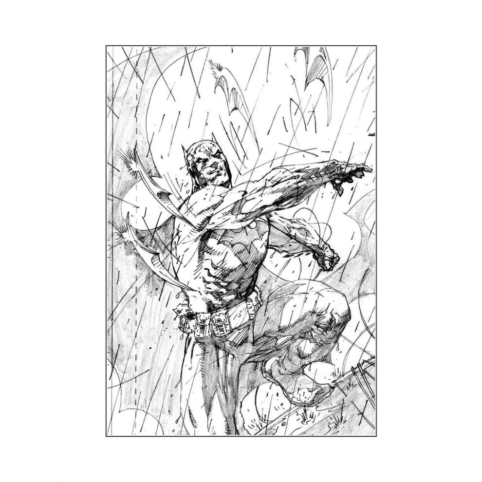 (50cm x 40cm, White/Black) Batman Batarang Print