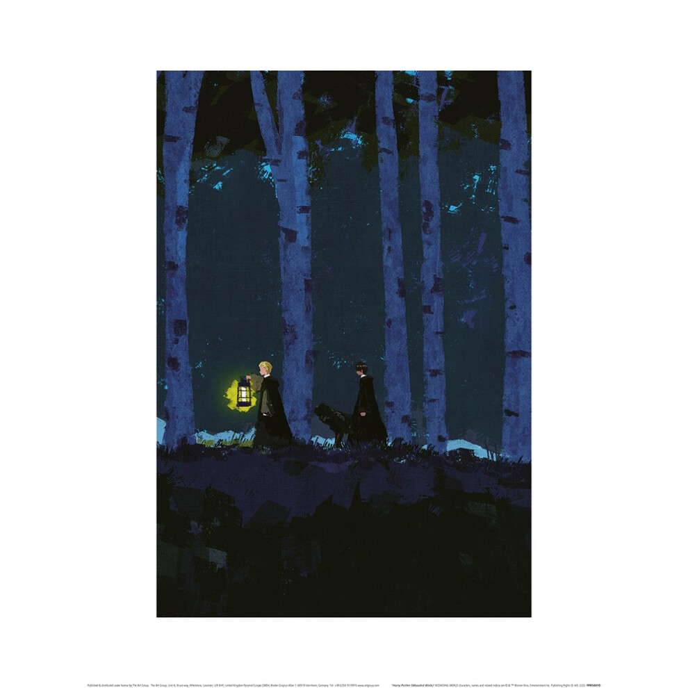 (60cm x 80cm, Navy/Black) Harry Potter Wooded Walk Print