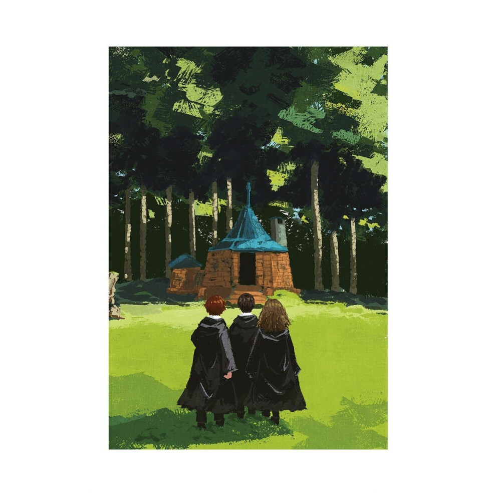 (60cm x 80cm, Green/Black) Harry Potter The Lonely Hut Print