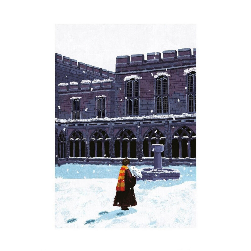 (60cm x 80cm, Multicoloured) Harry Potter The Snowy Courtyard Print