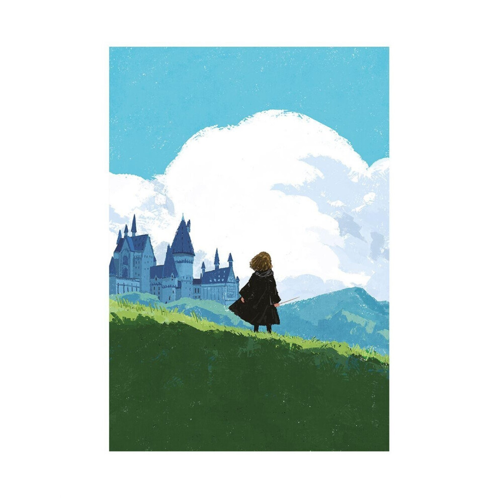 (80cm x 60cm, Blue/Green/Black) Harry Potter Hermione Print