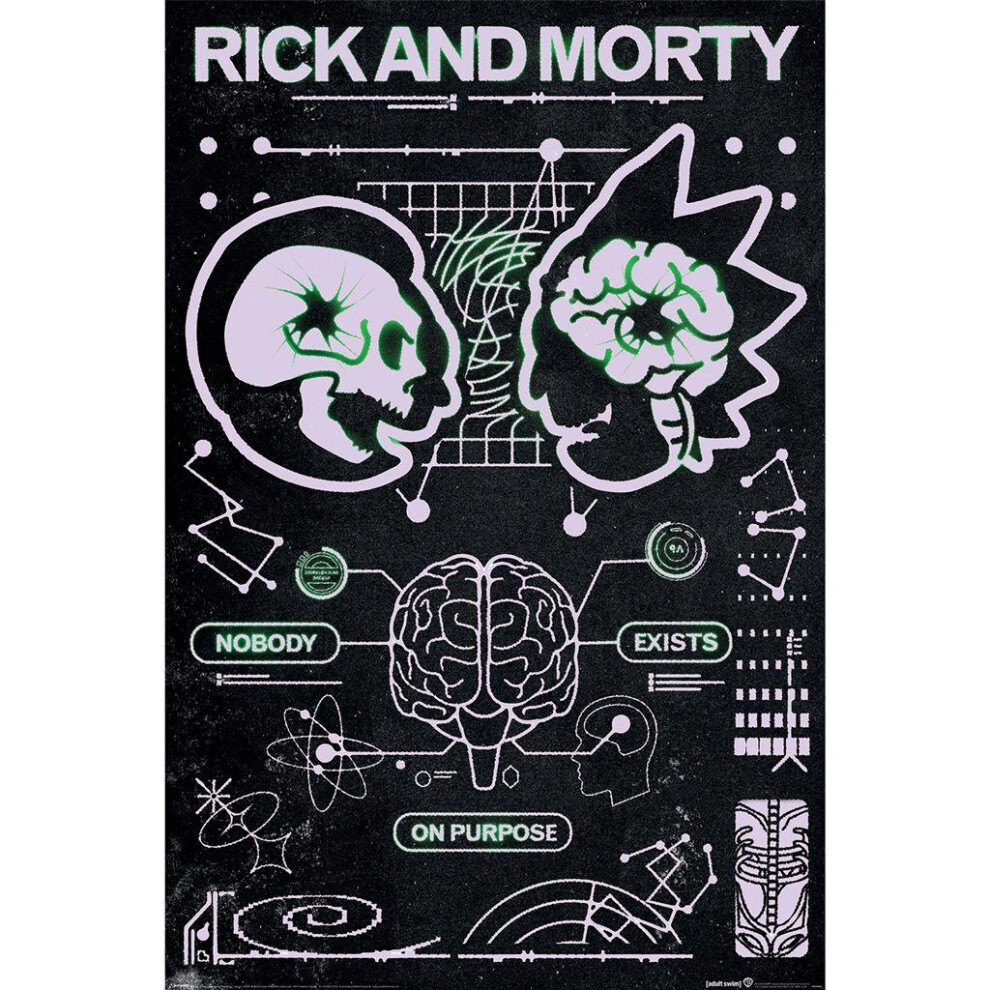 Rick And Morty Classrickal Maxi Poster