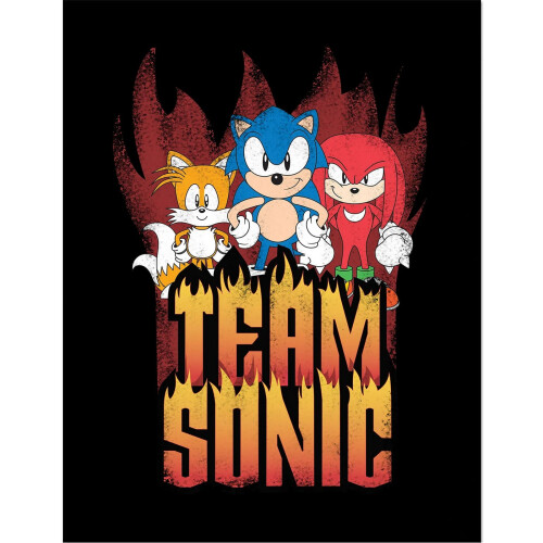 Sonic The Hedgehog Sonic The Hedgehog Team Sonic Framed Poster