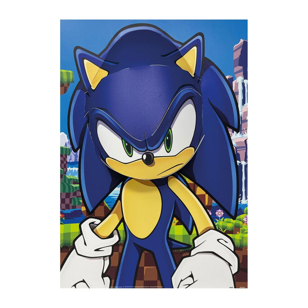 Sonic The Hedgehog Popheads 3D Poster