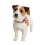 Joules (L, Multicoloured) Joules Rainbow Striped Dog Collar 6