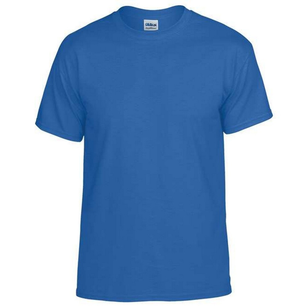 Gildan (L, Royal ) Plain Lightweight T-Shirt Men's Blue