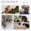 PawHut PawHut Cat Tree Scratch Post with Bed Hammock Sisal for Indoor Cats Grey 5
