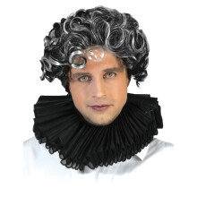 Elizabethan Collar - Black Frill