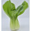 Pak Choi White Stemmed 2