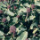 Purple Sprouting BROCCOLI. 1