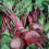 Beetroot Detroit 3