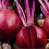 Beetroot Detroit 1