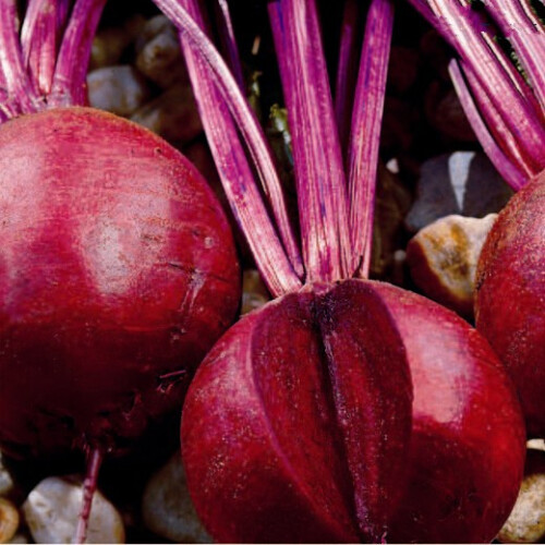 Beetroot Detroit