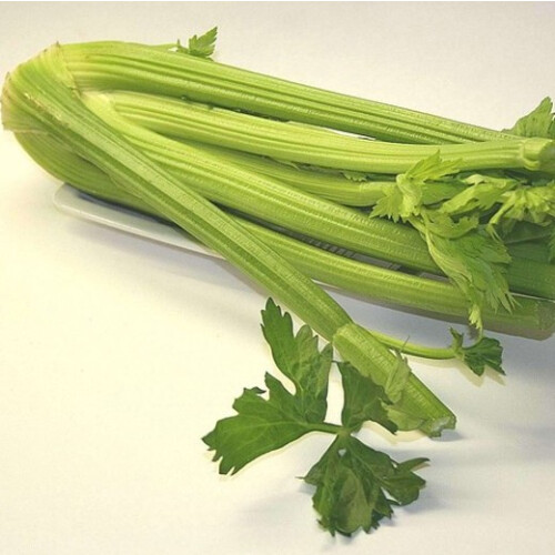 Celery Pascal. 1