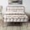 SlumberWorx (Double, Brass) Ware Victorian Industrial Design Metal Bed Frame 1