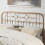 SlumberWorx (Double, Brass) Ware Victorian Industrial Design Metal Bed Frame 4