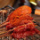 Bbq Basting Mops 18 Inch Grill Basting Brush Wooden Long Handle With 4