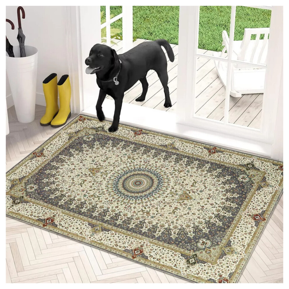 (40 x 60 cm (1ft 3" x 2ft)- Small Door Mat/Bath Mat) Willow Grey Rugs Luxury Runner Carpets Door Mat