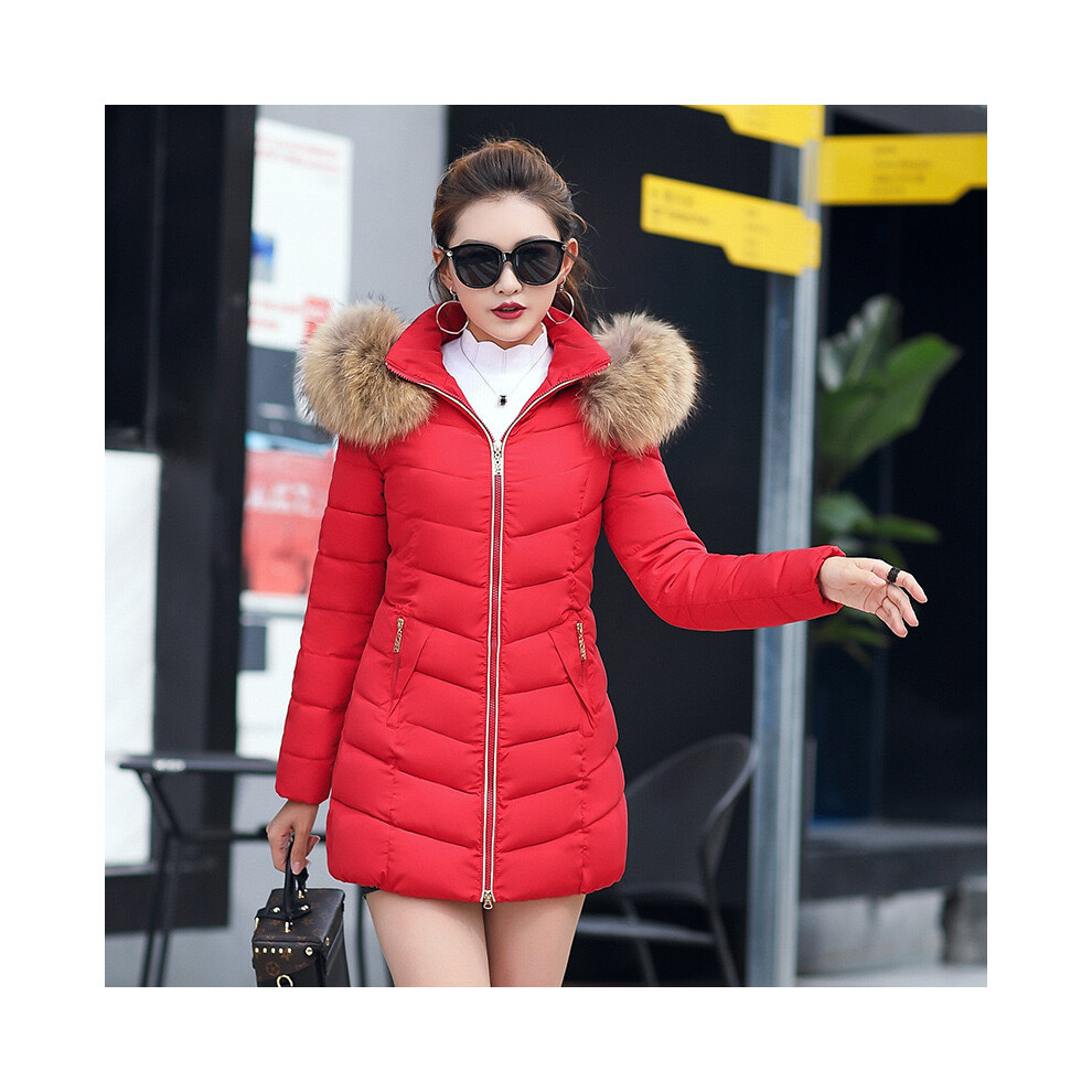 (Red, UK 8) Women's Lady Winter Slim Hooded Padded jacket Coat