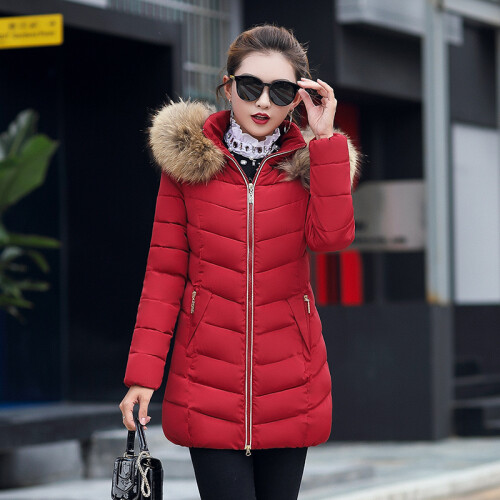 (Burgundy, UK 16) Women's Lady Winter Slim Hooded Padded jacket Coat