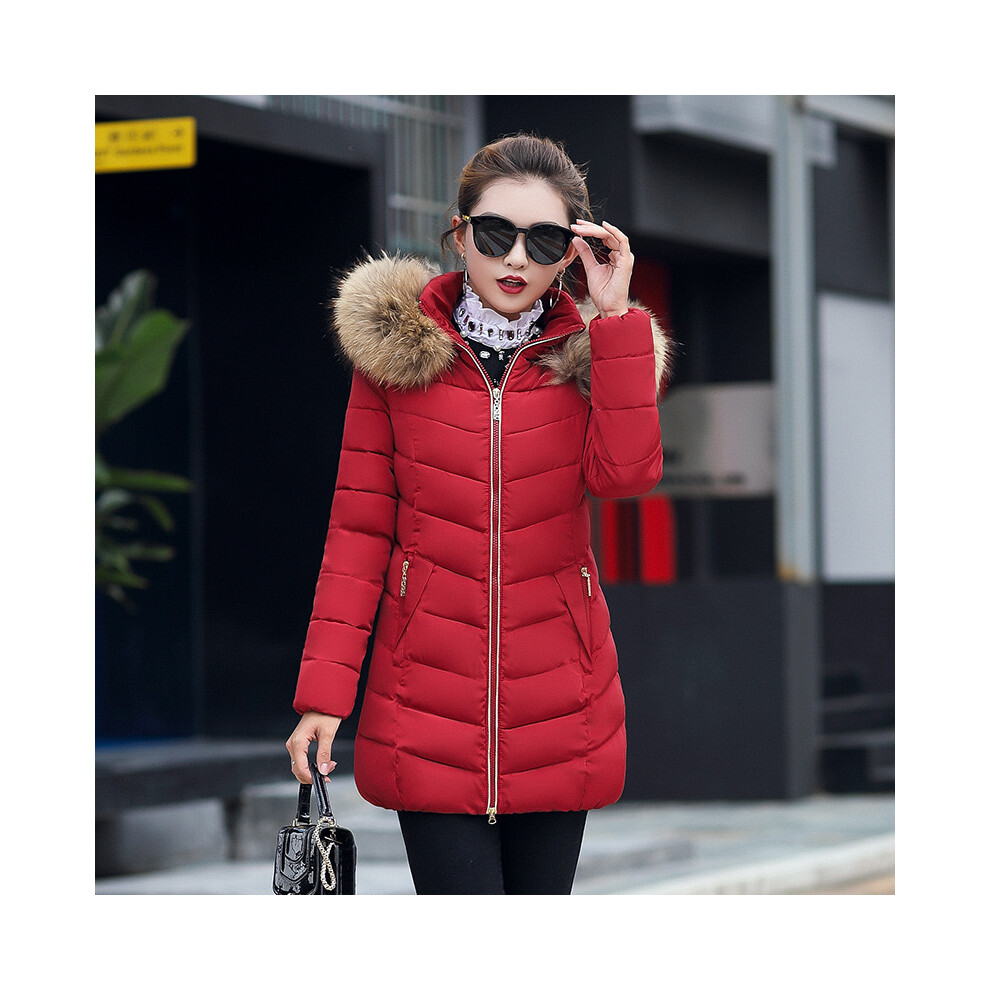 (Burgundy, UK 16) Women's Lady Winter Slim Hooded Padded jacket Coat