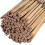 2ft Bamboo Plant Support Pack of 20 Garden Canes 1
