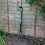 Carbon Steel Garden Border Fork Tool - Green 1
