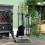 5Pcs Victorian Brass Handle Companion Set Black - 1
