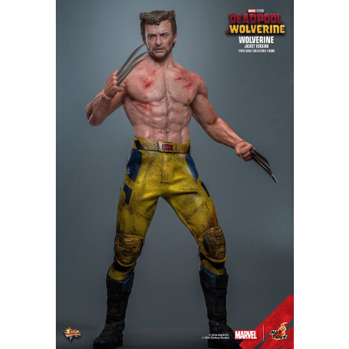 Hot Toys ειδώλιο Hot Toys MMS756 - Marvel Comics - Deadpool & Wolverine - Wolverine Jacket Version 2