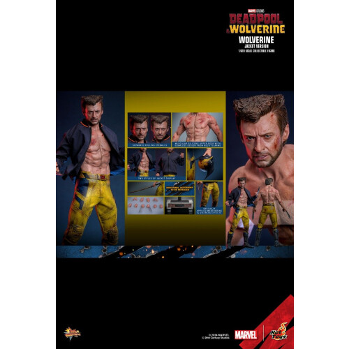 Hot Toys ειδώλιο Hot Toys MMS756 - Marvel Comics - Deadpool & Wolverine - Wolverine Jacket Version 1
