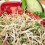 Sprouting Seeds. Mixed 1