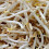 Mung Beans. Sprouting seeds. 2