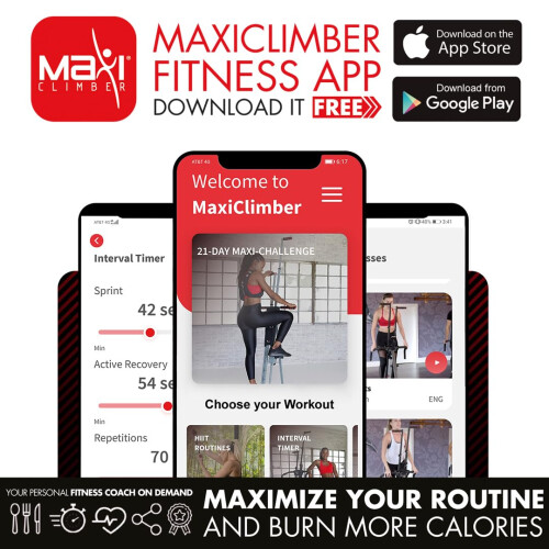 Maxi Climber Vertical Climbing Cardio Exercise Machine by New Image, Black/Grey 2