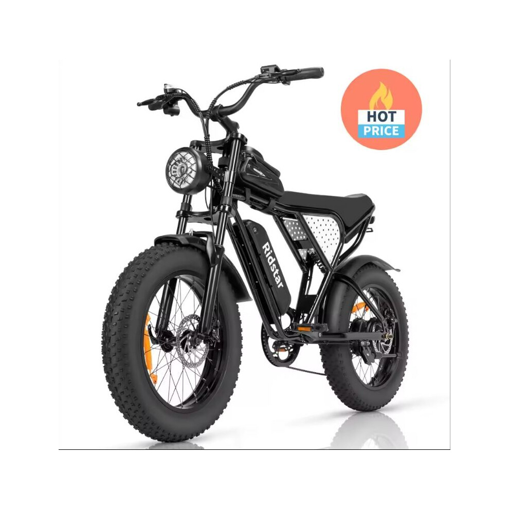 Ridtar Q20Mini Electric Bike,20 Inches  Mountain Electric Bicycle