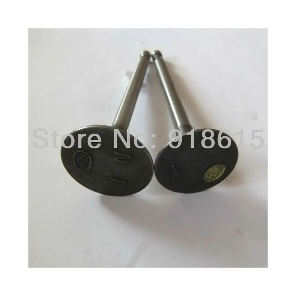 Intake Valve and Exhaust Valve Robin EY28 EY28C EY28D EY28B RGX3500 RGX3510 7.5HP gasoline engine parts replacement-image-OPC-PF7KKX6-NEW