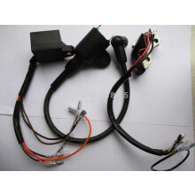 ET950 1E45 Igniter Ignition Coil Magneto 950 gasoline generator parts replacement part good quality
