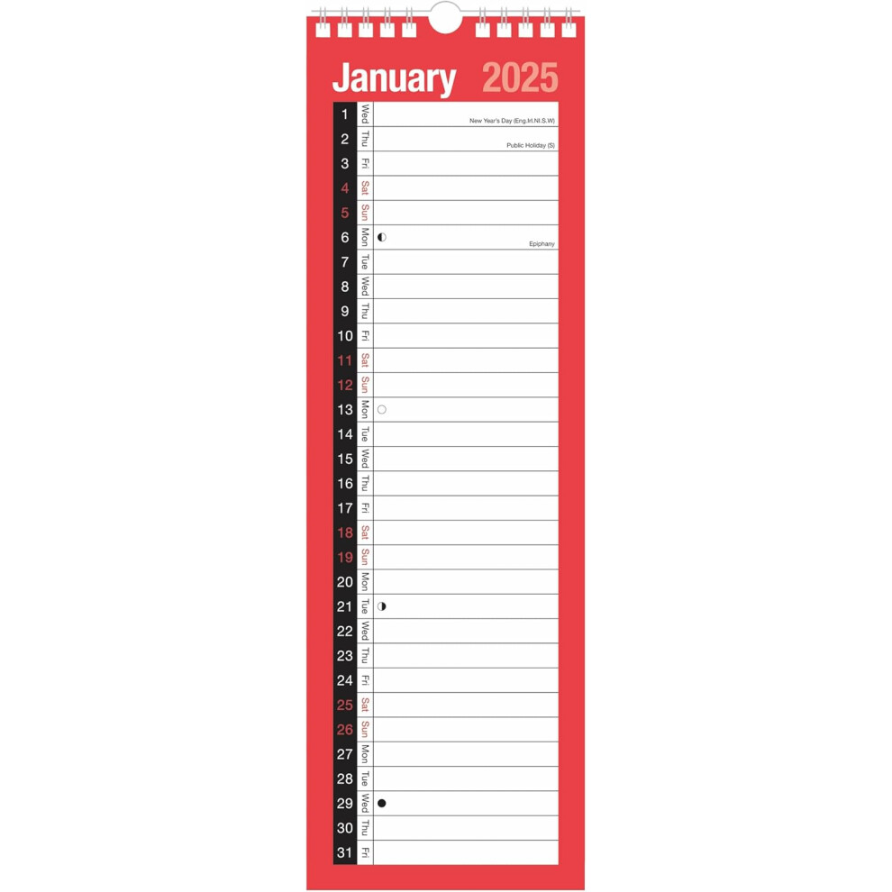 2025 Slim Month to View Wall Planner Calendar with 1 Column Layout