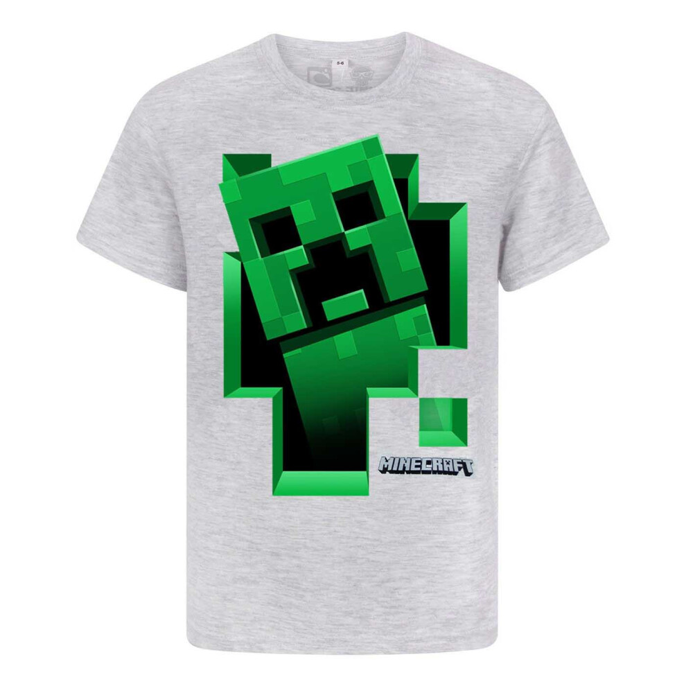 (11-12 Years, Grey) Minecraft Boys Creeper Inside T-Shirt