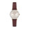 Armani ARMANI AR11061 WOMENS WATCH BROWN STRAP SILVER DIAL SILVER TONE CASE 2