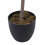 Living And Home 150cm Artificial Ficus Tree Decorative Plant in Planter 5