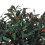 Living And Home 120cm Artificial Olive Tree Decorative Plant in Planter 3