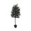 Living And Home 190cm Artificial Olive Tree Decorative Plant in Planter 2