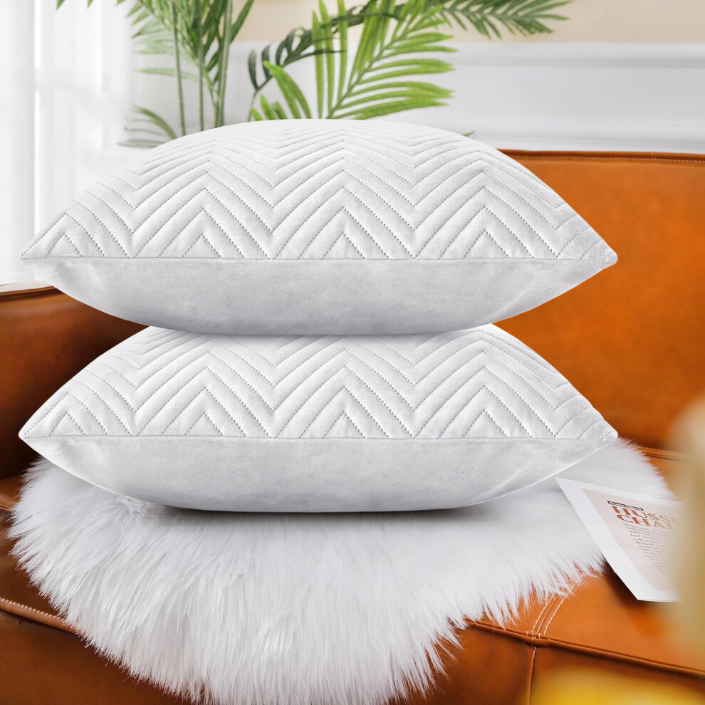 (Embossed Silver Velvet Cushion Cover, 2 Cushion Covers (Pack of 2)) Plush Velvet Soft Cushion Cover Throw Pillowcase