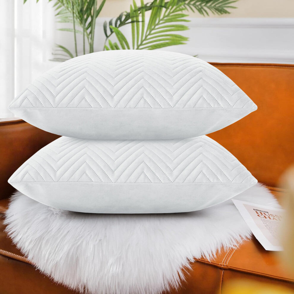 (Embossed White Velvet Cushion Cover, 2 Cushion Covers (Pack of 2)) Plush Velvet Soft Cushion Cover Throw Pillowcase