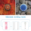 16 Pcs Mandala Dotting Tools for Painting Rocks Mandala Stencils Kit 6