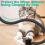 Dog and Cat Cord Protector 10ft ,Cable Sleeve 1/2inch 3